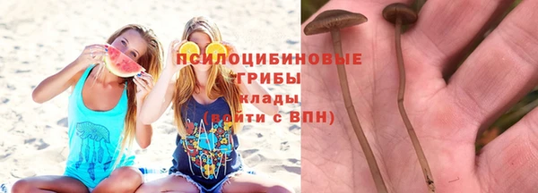 герыч Верхний Тагил