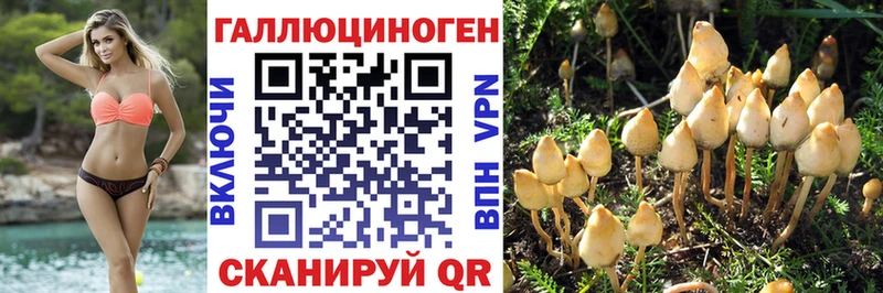 где купить наркоту  Череповец  Галлюциногенные грибы прущие грибы 